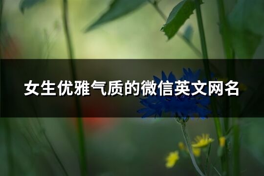 女生優雅氣質的微信英文網名(精選136個)