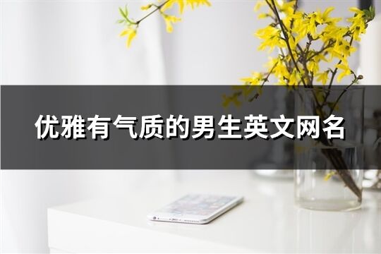 優雅有氣質的男生英文網名(220個)