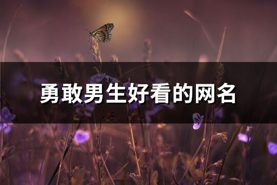 勇敢男生好看的網名(892個)