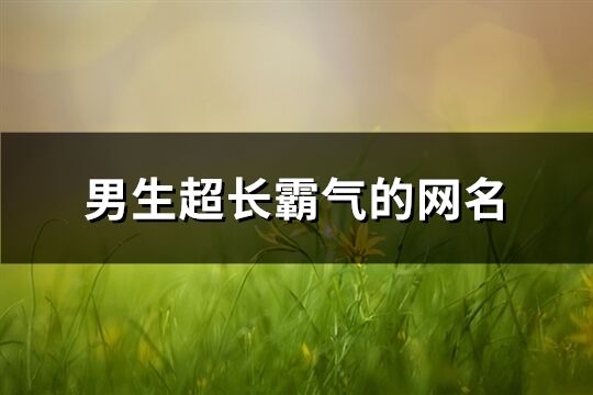 男生超長(zhǎng)霸氣的網(wǎng)名(精選324個(gè))