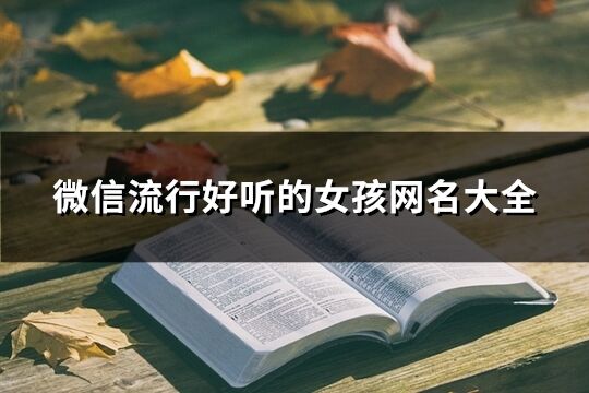 微信流行好聽的女孩網名大全(共626個)
