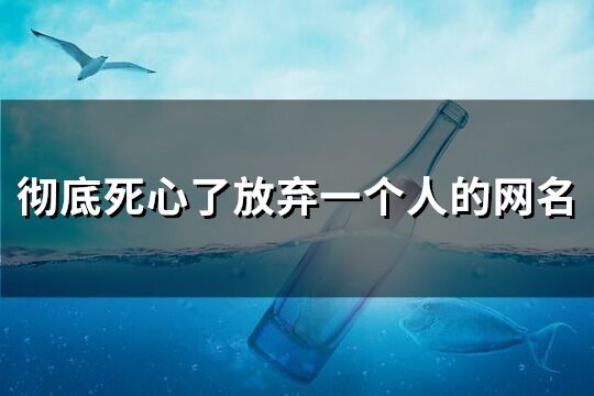 徹底死心了放棄一個人的網(wǎng)名(精選204個)