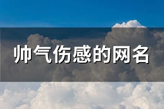 帥氣傷感的網(wǎng)名(優(yōu)選298個(gè))