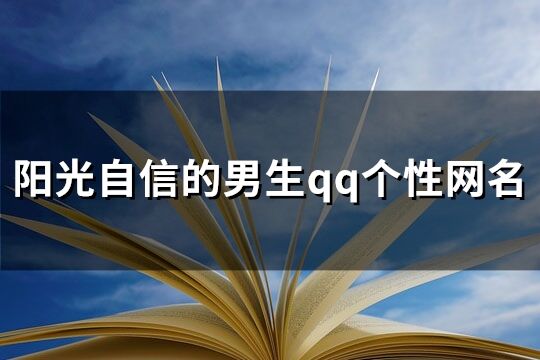 陽光自信的男生qq個性網名(80個)
