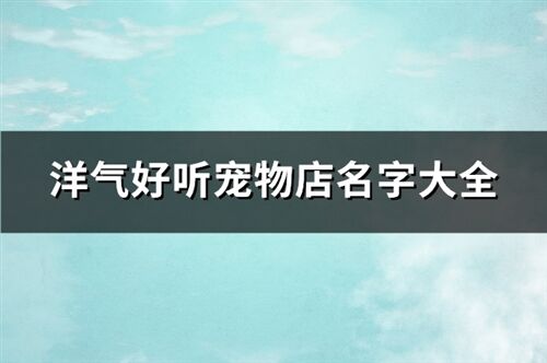 洋氣好聽寵物店名字大全(146個)