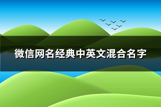 微信網(wǎng)名經(jīng)典中英文混合名字(共123個(gè))