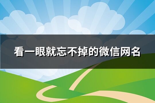 看一眼就忘不掉的微信網(wǎng)名(181個)