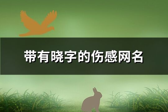 帶有曉字的傷感網名(111個)