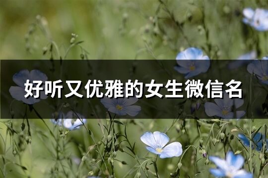 好聽又優雅的女生微信名(共236個)