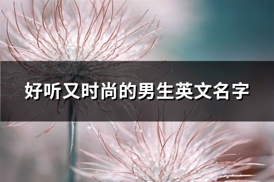 好聽又時尚的男生英文名字(共228個)