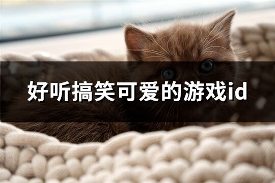 好聽搞笑可愛的游戲id(精選174個)