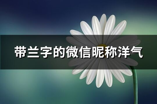 帶蘭字的微信昵稱洋氣(共116個)