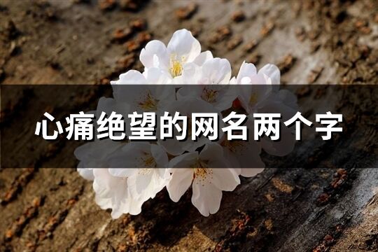 心痛絕望的網(wǎng)名兩個字(共179個)