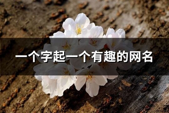 一個字起一個有趣的網名(291個)