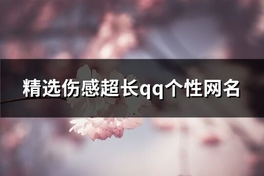 精選傷感超長qq個性網(wǎng)名(共196個)