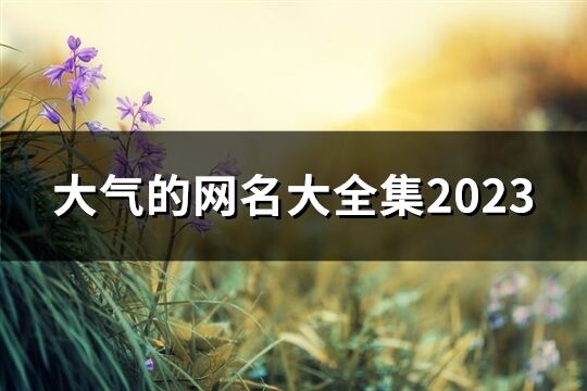 大氣的網名大全集2023(92個)