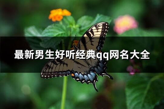 最新男生好聽經典qq網名大全(共195個)