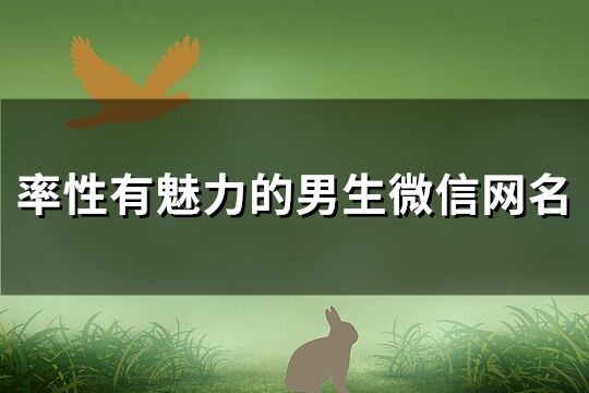 率性有魅力的男生微信網名(共140個)