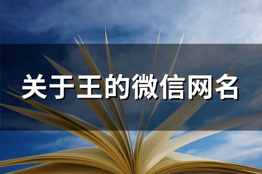 關于王的微信網名(精選112個)