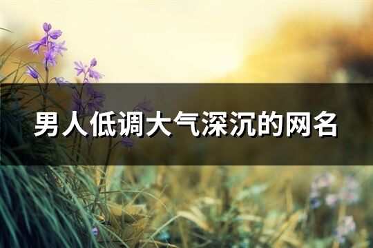 男人低調(diào)大氣深沉的網(wǎng)名(共228個)