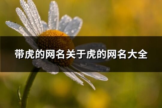 帶虎的網(wǎng)名關(guān)于虎的網(wǎng)名大全(166個)