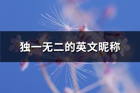 獨一無二的英文昵稱(共270個)