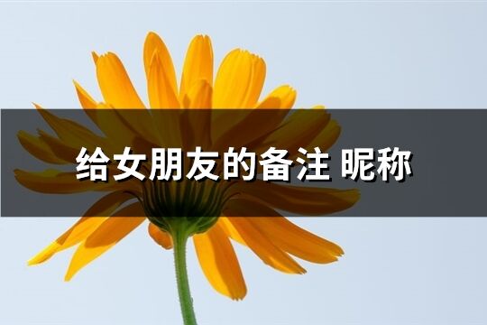 給女朋友的備注 昵稱(優選166個)