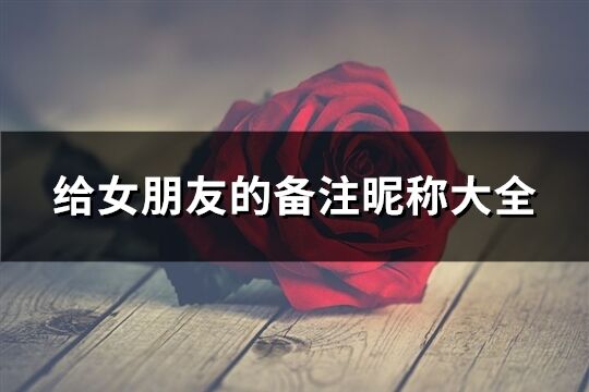 給女朋友的備注昵稱大全(優(yōu)選303個(gè))