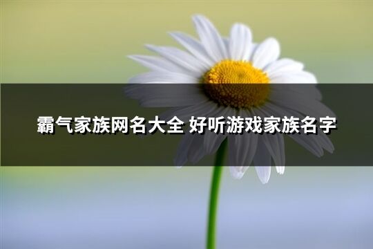 霸氣家族網名大全 好聽游戲家族名字(優選115個)