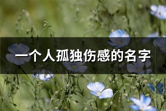 一個人孤獨傷感的名字(239個)