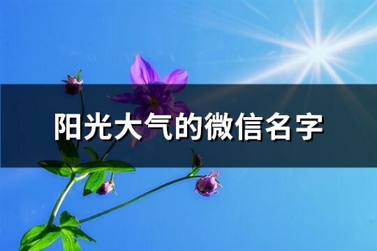 陽光大氣的微信名字(共825個(gè))
