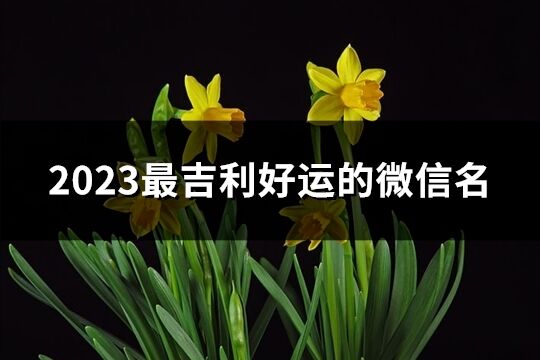2023最吉利好運的微信名(精選5465個)