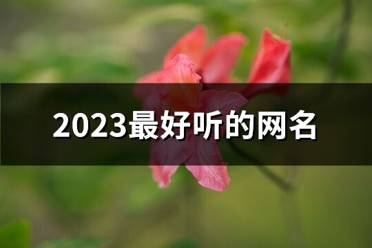 2023最好聽的網名(共1341個)