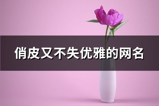 俏皮又不失優雅的網名(133個)