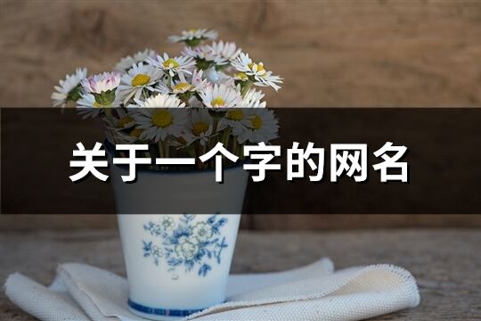 關于一個字的網名(488個)