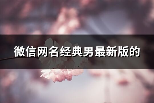 微信網名經典男最新版的(444個)