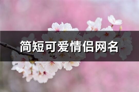簡短可愛情侶網名(共408個)