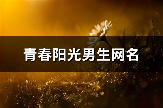 青春陽光男生網(wǎng)名(152個(gè))