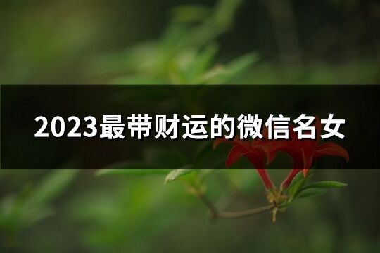2023最帶財(cái)運(yùn)的微信名女(精選1229個(gè))