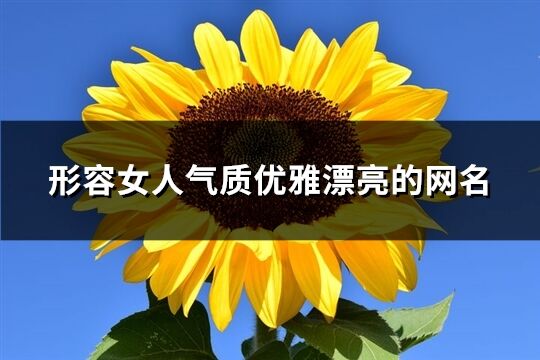 形容女人氣質優雅漂亮的網名(精選544個)