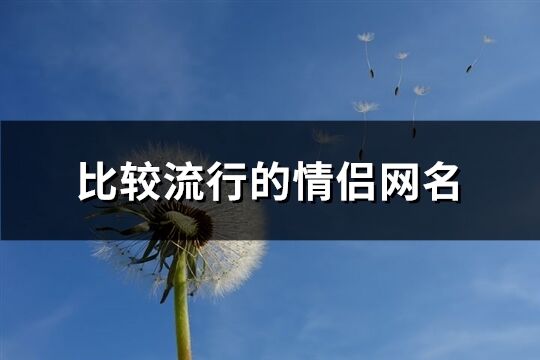比較流行的情侶網(wǎng)名(精選452個)
