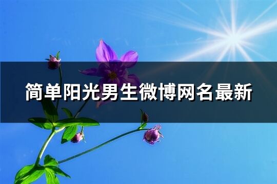 簡單陽光男生微博網名最新(共336個)