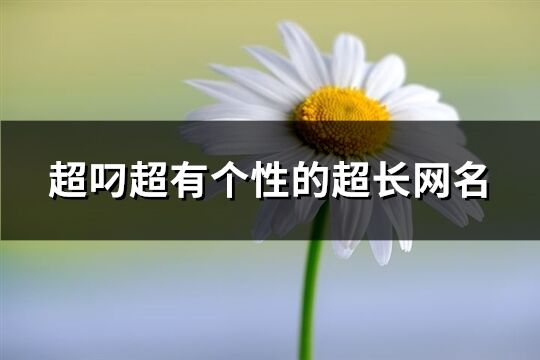 超叼超有個性的超長網名(優選543個)