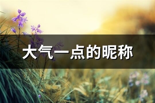 大氣一點(diǎn)的昵稱(317個(gè))