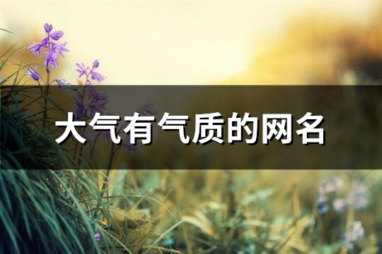 大氣有氣質的網名(優選286個)