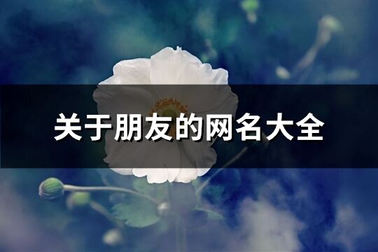 關(guān)于朋友的網(wǎng)名大全(精選183個(gè))
