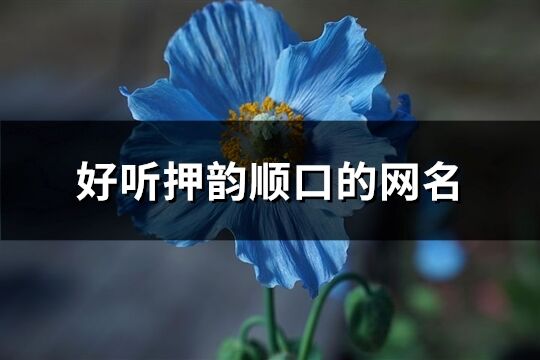 好聽押韻順口的網(wǎng)名(共190個(gè))