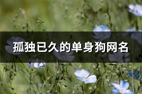 孤獨(dú)已久的單身狗網(wǎng)名(407個)