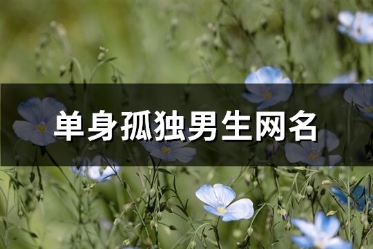 單身孤獨(dú)男生網(wǎng)名(精選325個(gè))