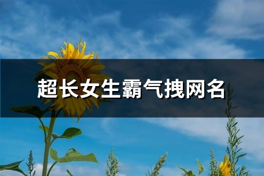 超長(zhǎng)女生霸氣拽網(wǎng)名(精選501個(gè))